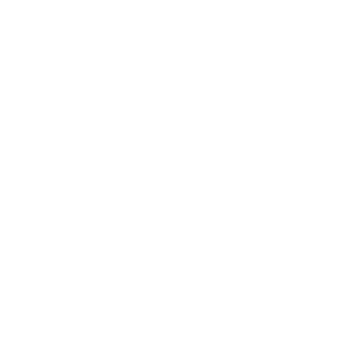 Our Process