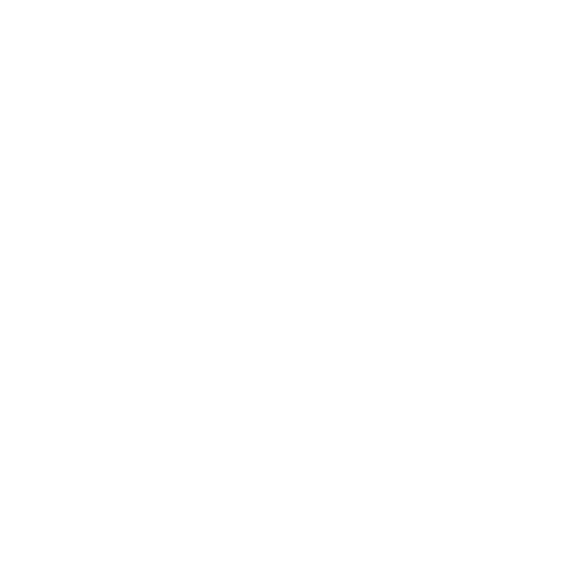 Cyber Security